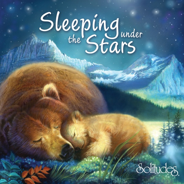 Sleeping Under the Stars Download mp3 + flac