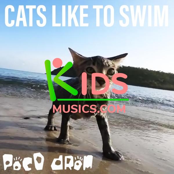 Cats Like to Swim  Download mp3 free