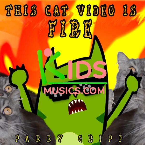 This Cat Video Is Fire  Download mp3 free
