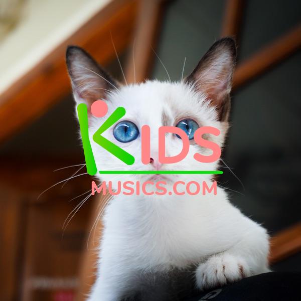 Kitty Cat Song  Download mp3 free