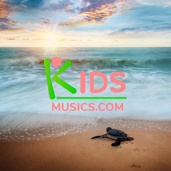 Baby Turtles Song  Download mp3 free